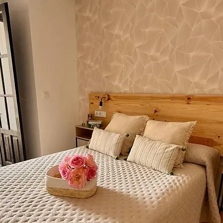 Coque Apartament *